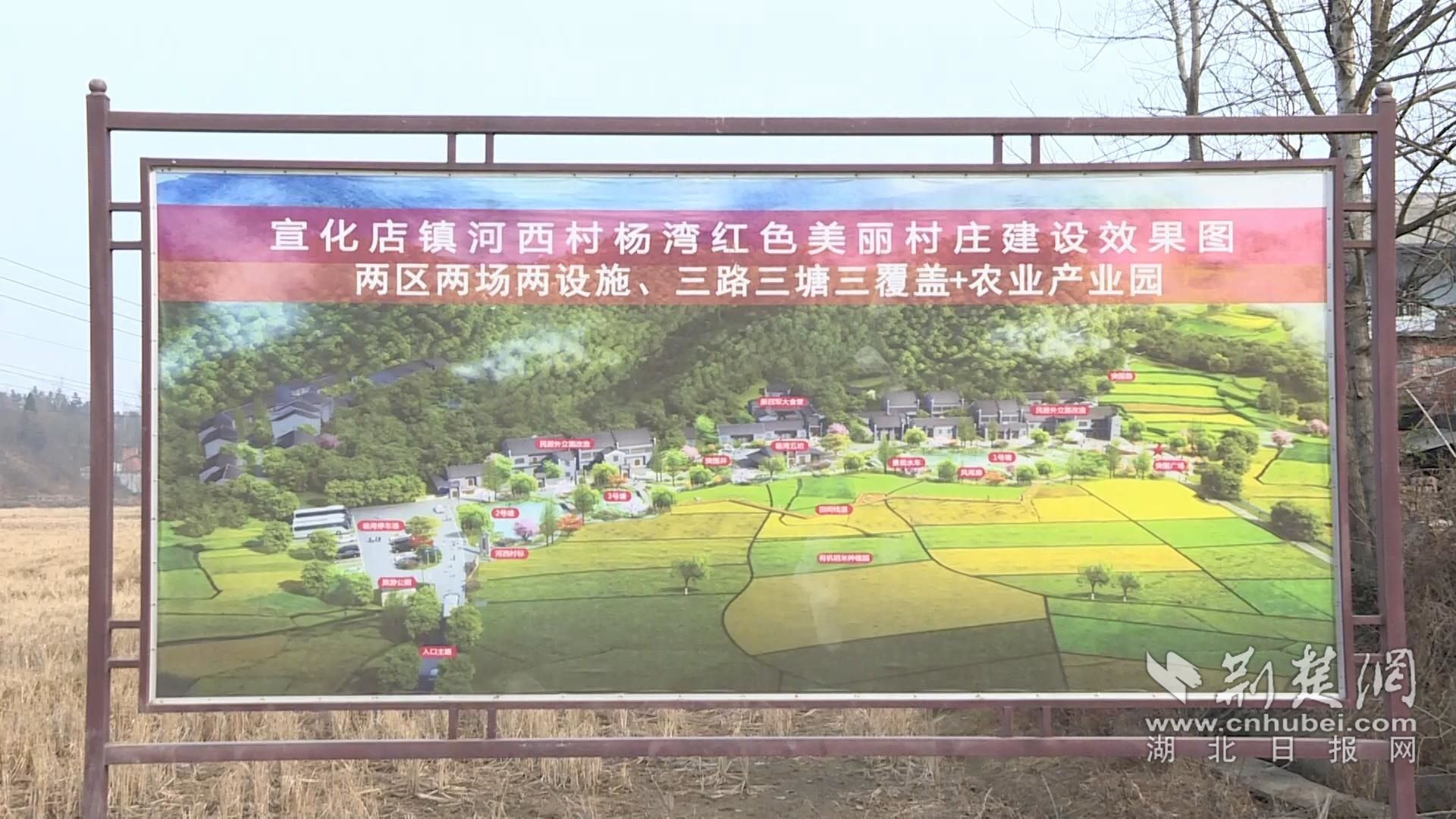 大悟宣化最新资讯,大悟宣化最新资讯