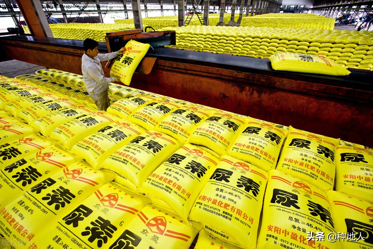 尿素资讯回顾,探究其在特定领域的发展历程与重要地位