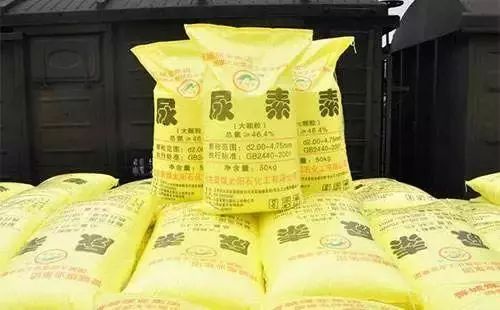 尿素资讯回顾,探究其在特定领域的发展历程与重要地位