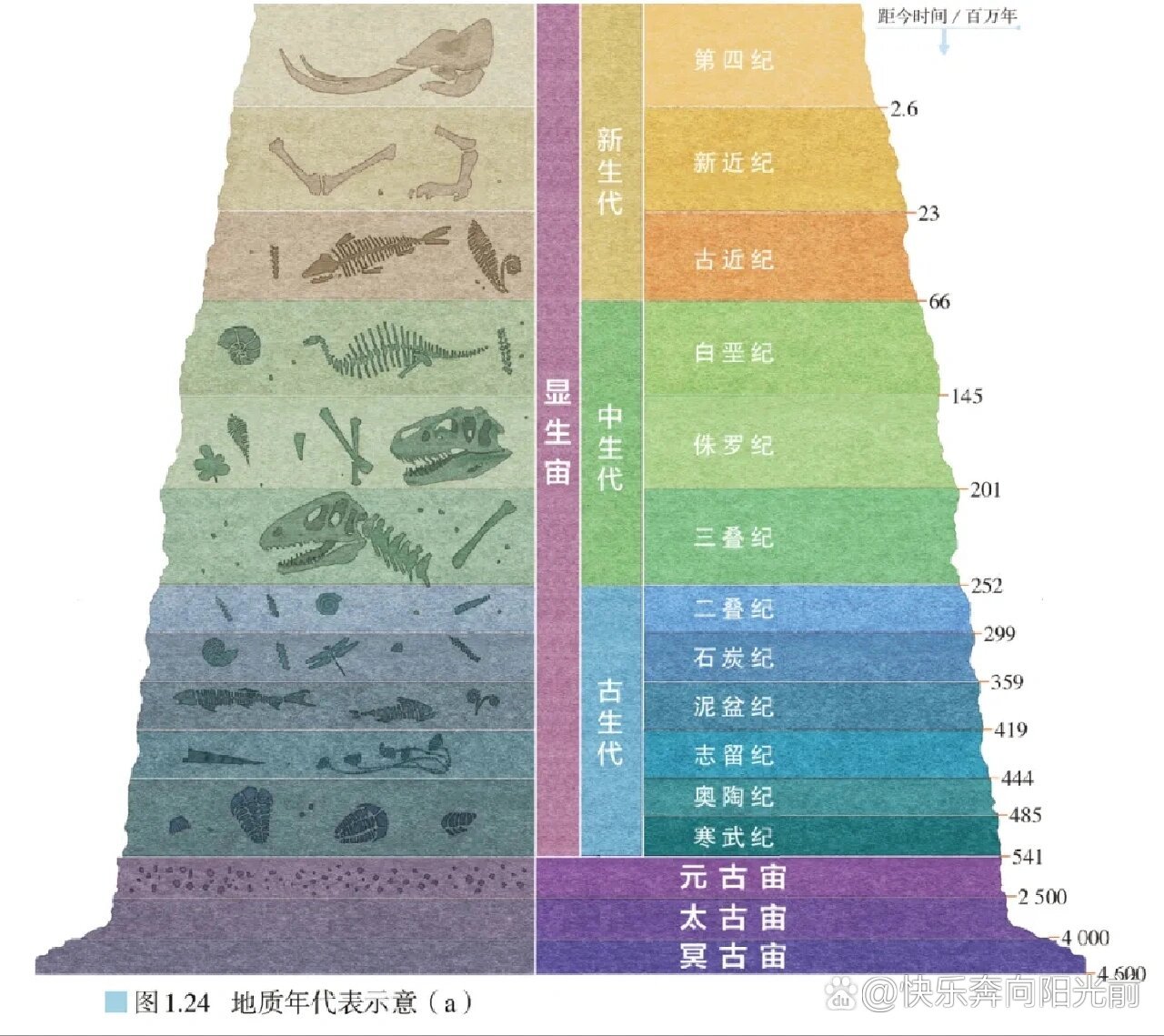 最新地质纪元,最新地质纪元，巷弄深处的独特小店探秘