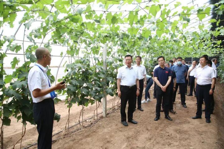 汇金科技股价最新动态,汇金科技股价最新动态,一场自然美景的探索之旅