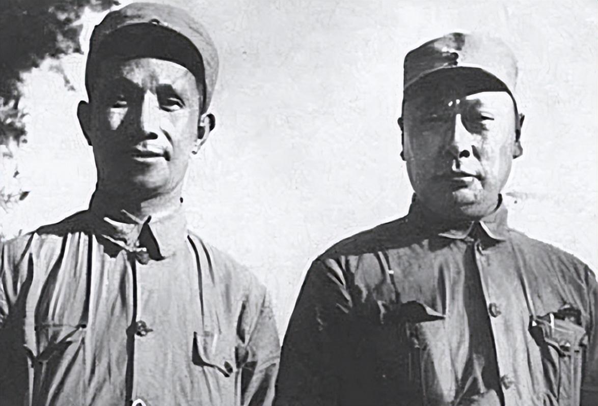 特赦1959电视剧全集在线观看，历史与正义的交织之旅
