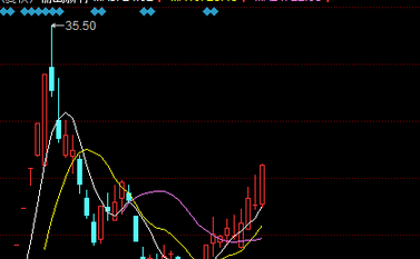 澳门六狗肖,即时解答解析分析_LTK50.790供给版