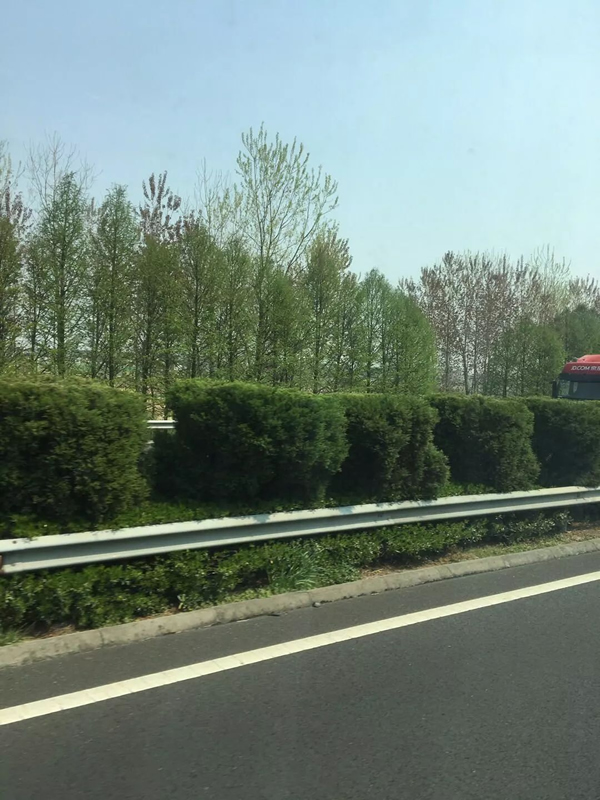 新澳门开奖记录今天开奖结果,动态解读分析_TFV50.517内含版