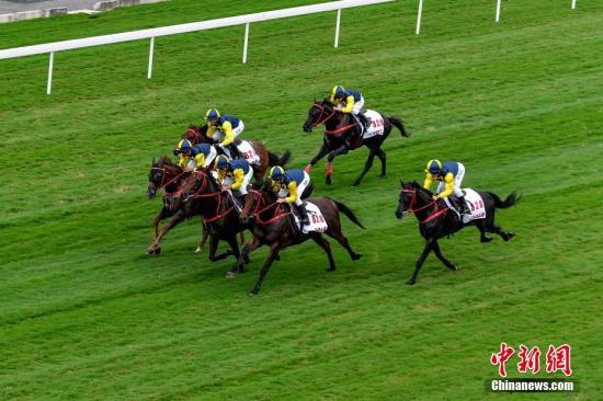 新澳门马开奖结果今天,担保计划执行法策略_JUB50.761潮流版