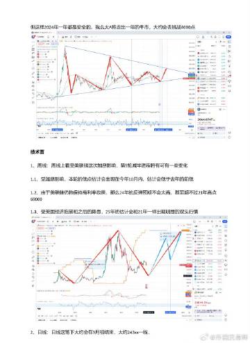 白老虎正版资料免费中,稳固执行战略分析_JPR50.556DIY工具版