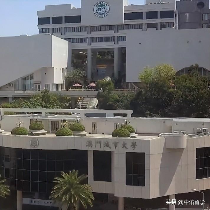 澳门六和彩资料查询2024‘年免,专业数据解释设想_IJB50.358服务器版