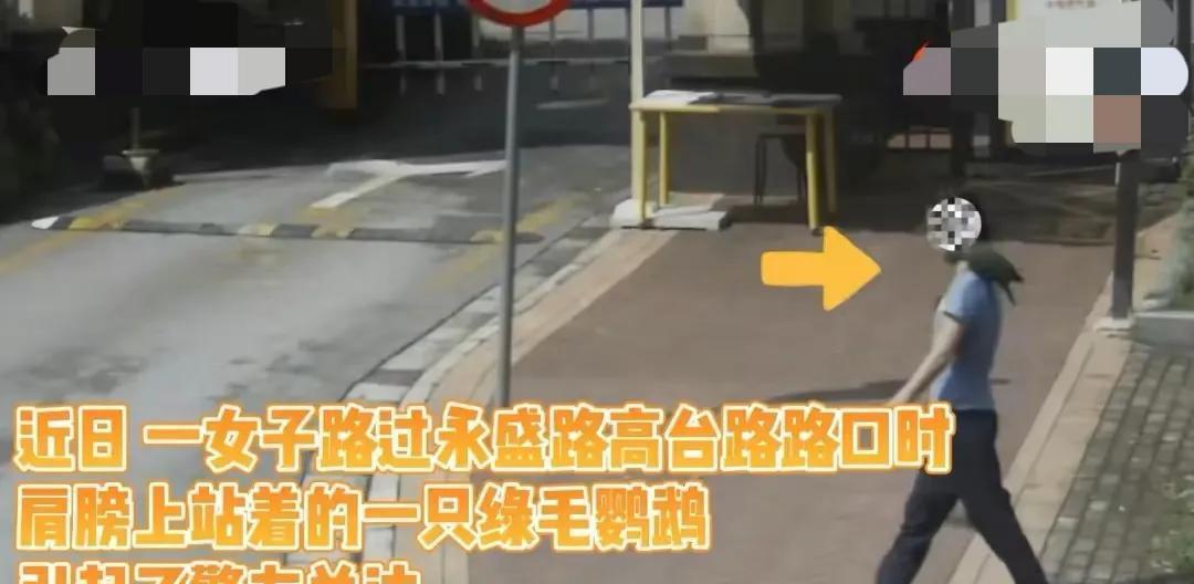 香港开奖结果+开奖记录2021.9.9,决策信息解释_VMI50.565内置版