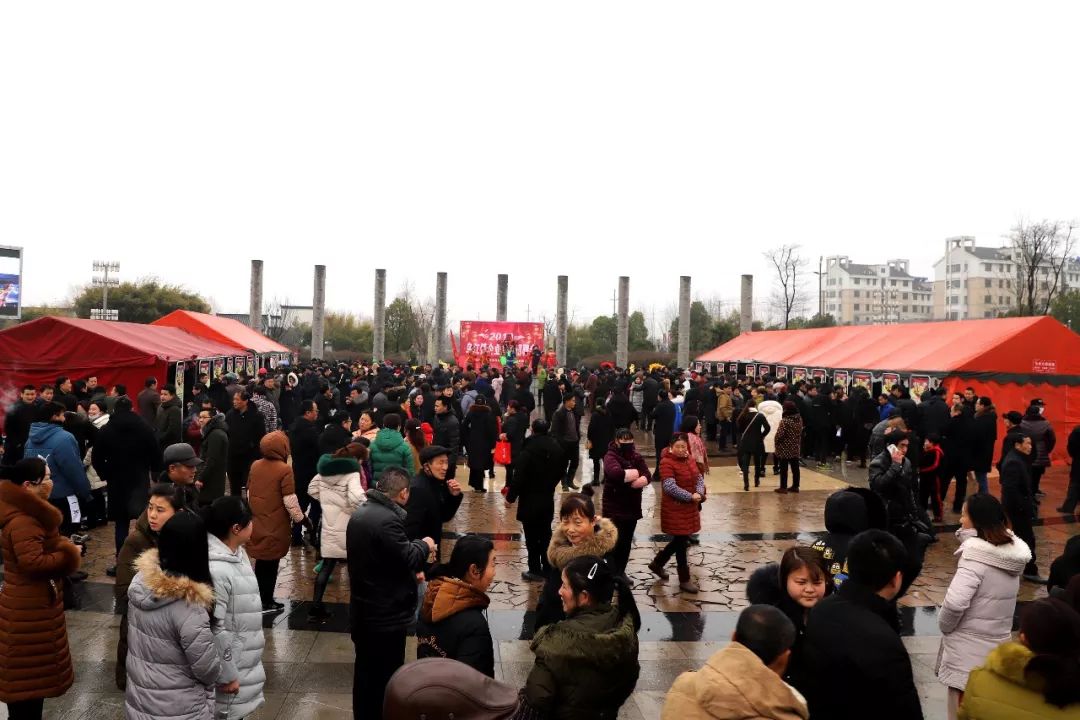 烘干机网带 第448页