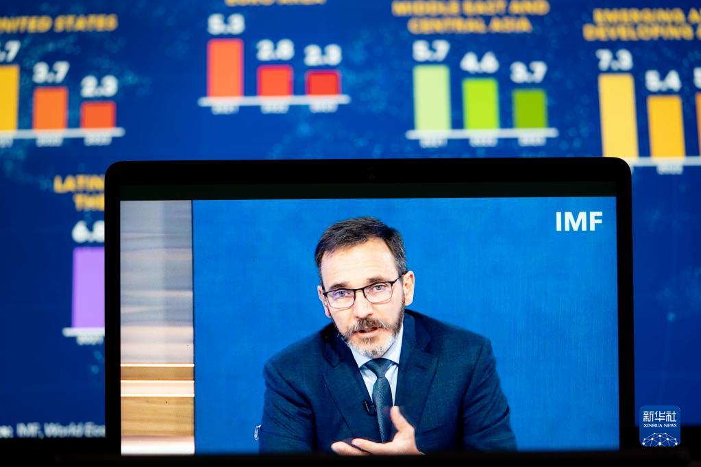 IMFMC最新动态,聚焦时代焦点,深度解读国际货币基金组织的影响力与地位