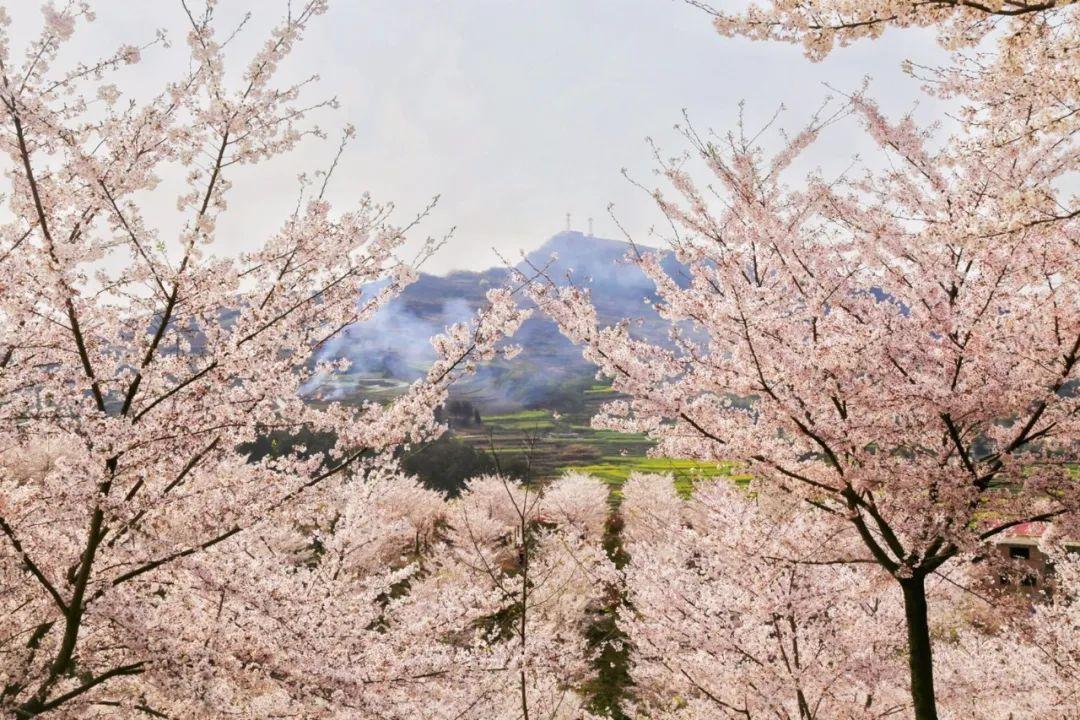 花安高速最新进展与小巷独特风情探寻