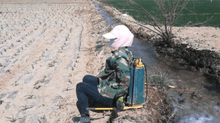 民勤东影最新视频,影视魅力探索前沿之旅