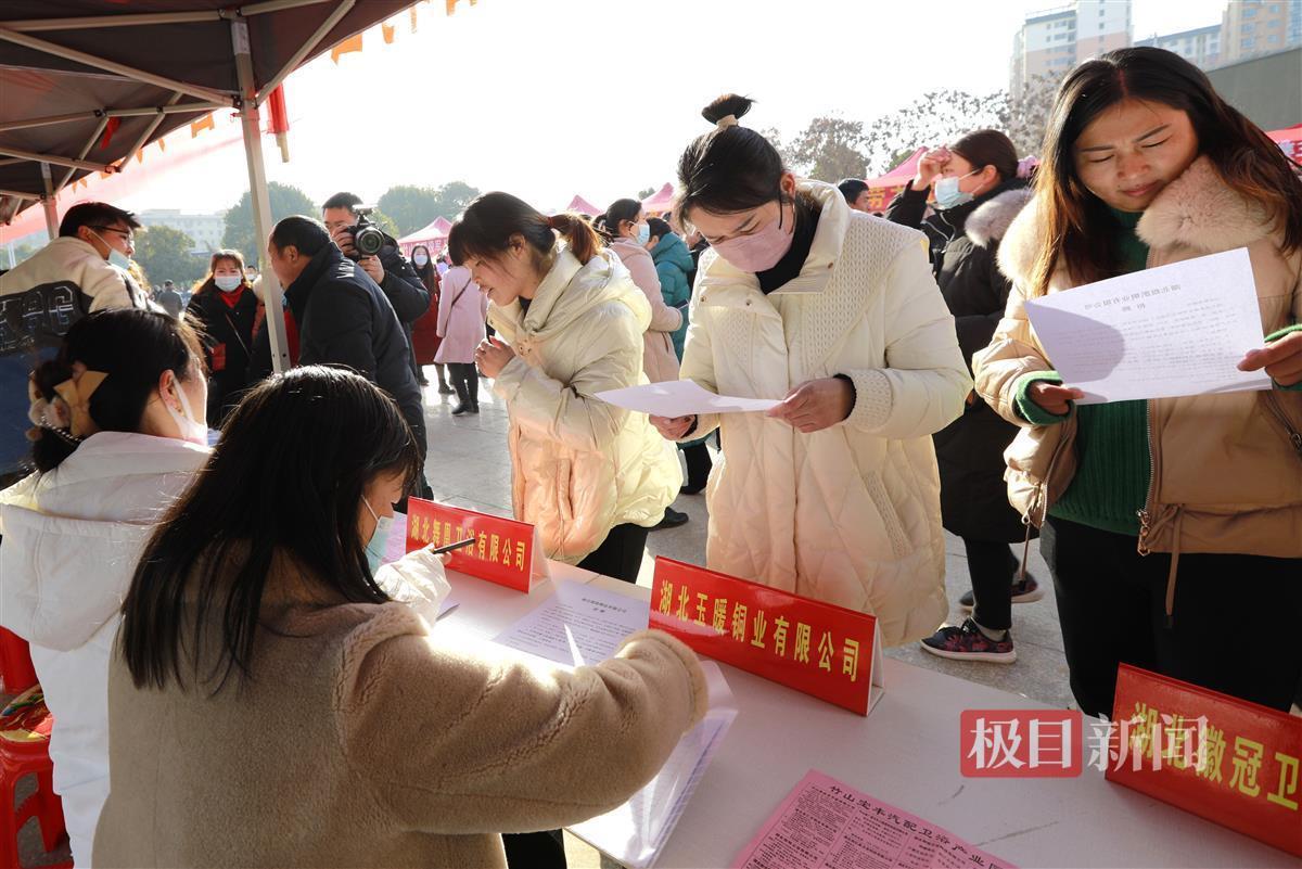 竹山最新招聘信息揭秘，小巷中的职业机遇探索