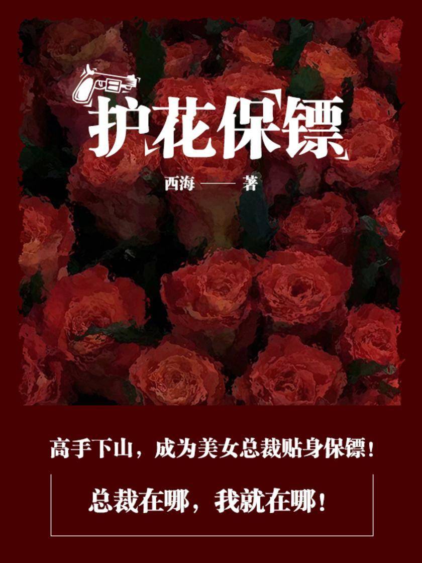 护花保镖最新章节揭秘，背景、事件与地位全解析