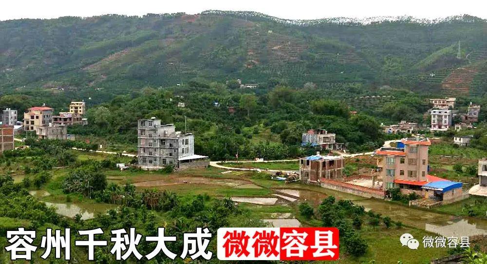 微容县最新新闻报道