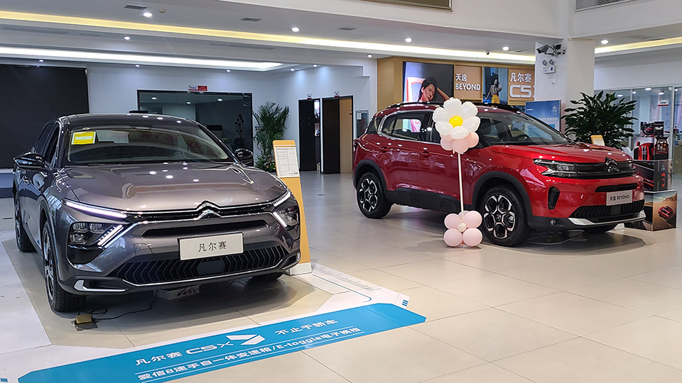 今日车前籽最新价格揭秘,小巷中的隐秘宝藏探寻