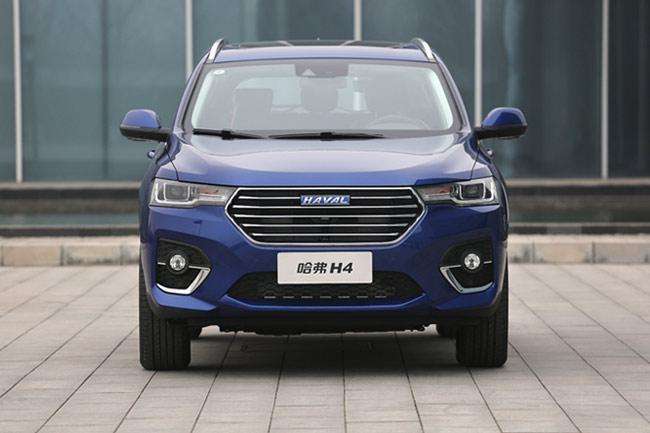 哈费最新款,家的温馨与友情的奇遇之旅