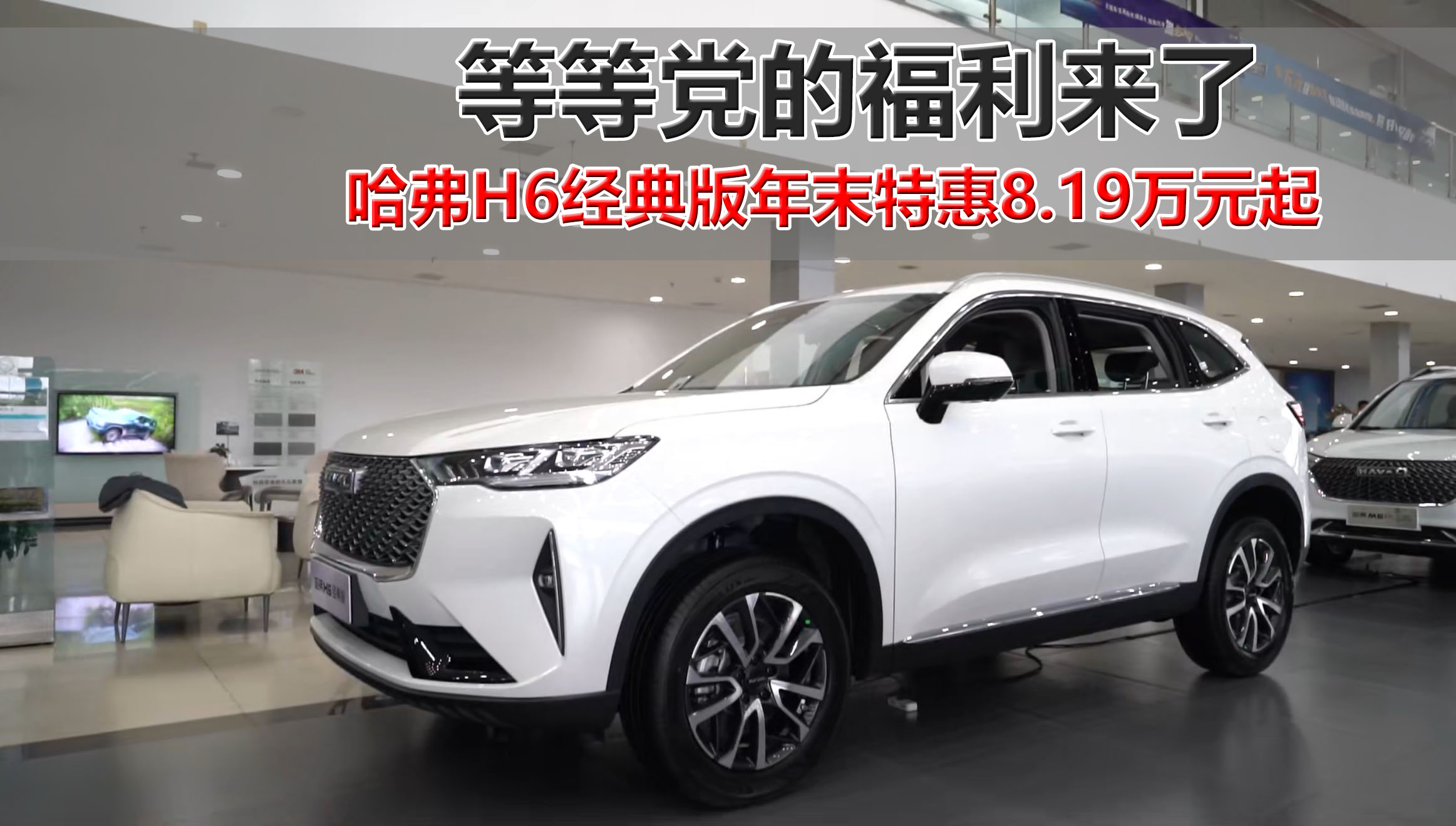 哈费最新款,家的温馨与友情的奇遇之旅