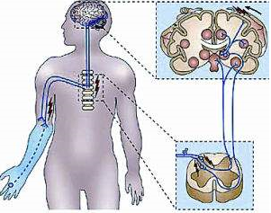 幻肢痛最新治疗方法研究及进展