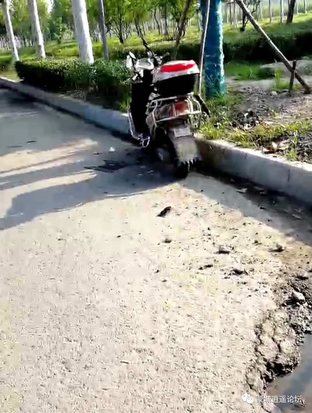 蒙城小巷深处的独特风味与最新时事聚焦