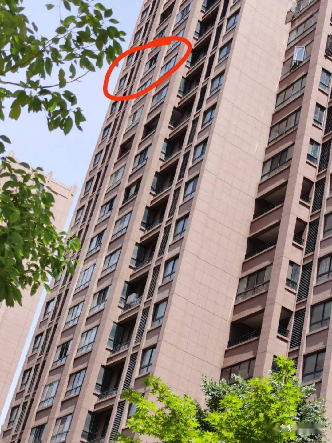 蒙城小巷深处的独特风味与最新时事聚焦