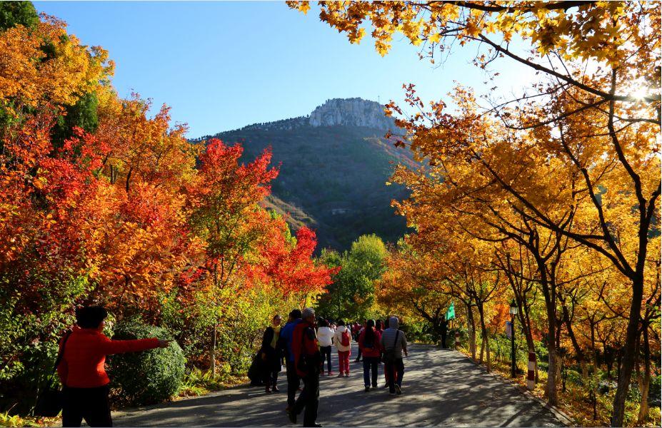 济南时报电子版最新版,科技驱动新闻,触手可及的未来