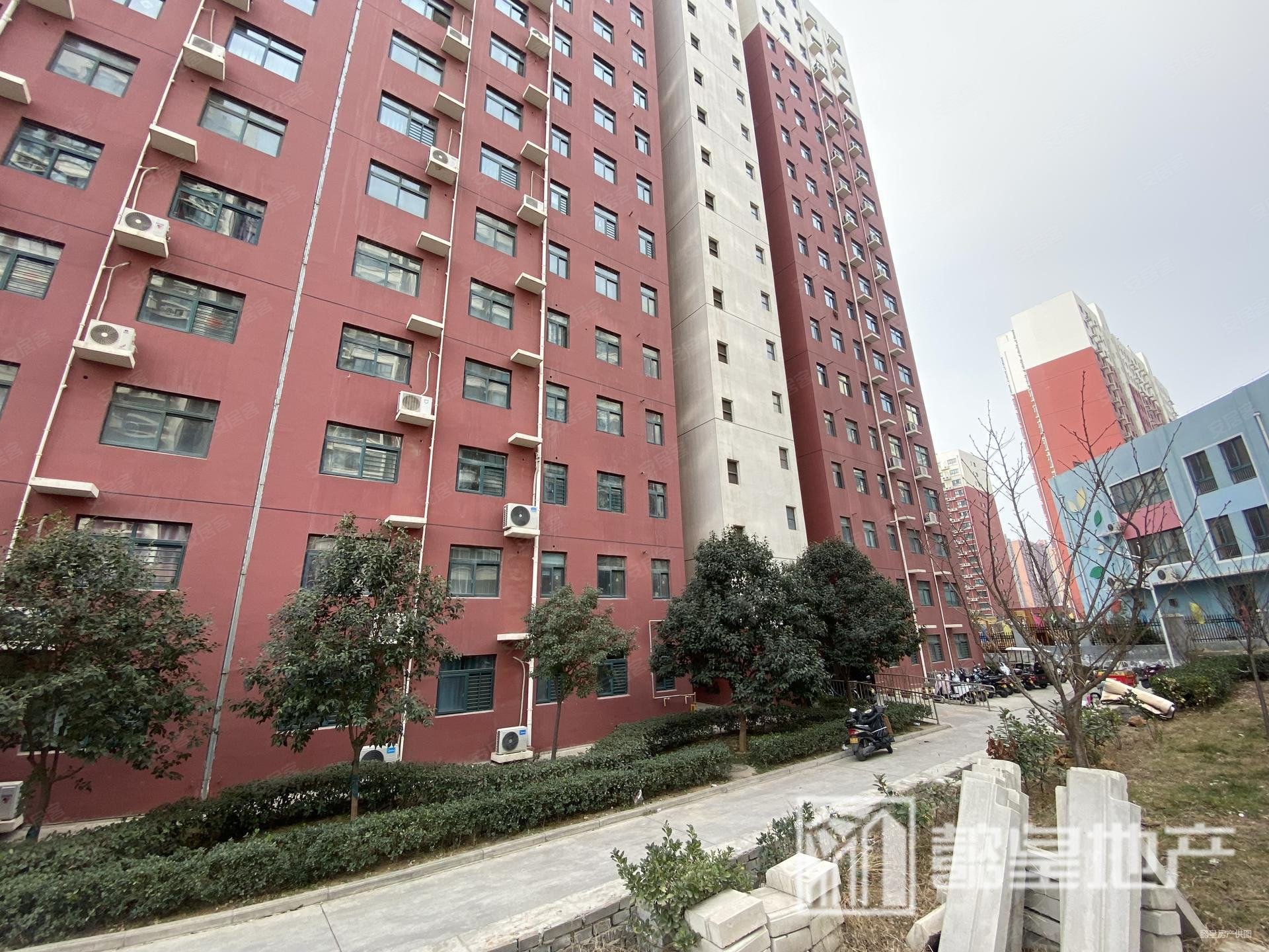 汉宫花苑春日温馨趣事最新消息揭秘