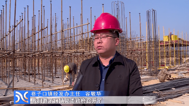 宁乡黎爱莲最新消息全解析,获取指南适用于初学者与进阶用户