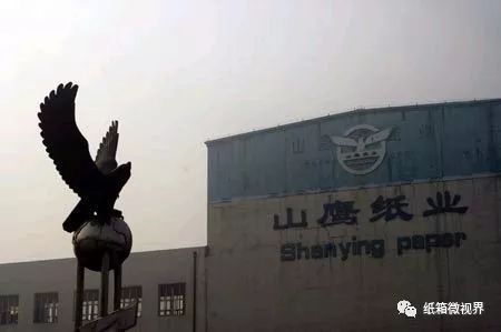 黄冈山鹰纸业科技革新引领未来造纸新纪元发展动态