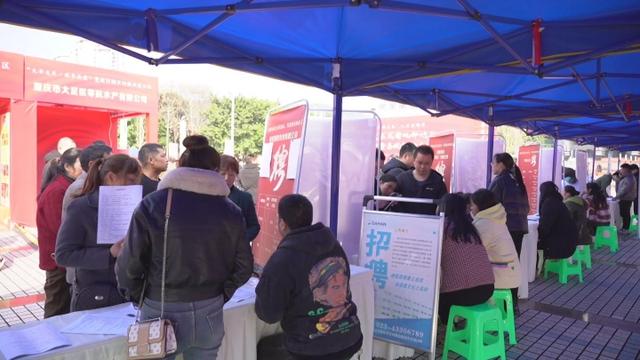 重庆市大足区最新招聘及求职步骤指南