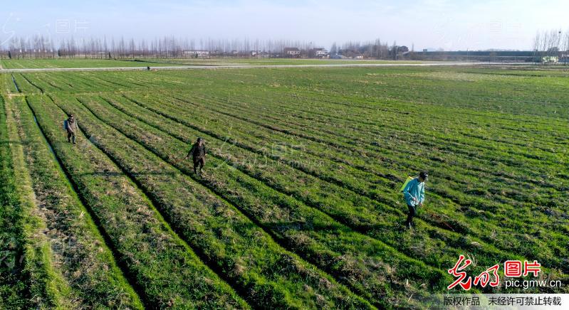 庐江县郭河镇,日常趣事与温馨画卷的爱与陪伴