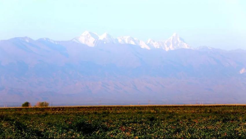 中粮屯河股票最新动态更新