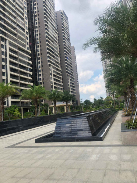 廉江华源城最新动态与资讯获取指南