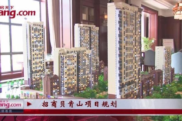 招商贝肯山最新消息及动态，一种观点的深度解析与影响探讨