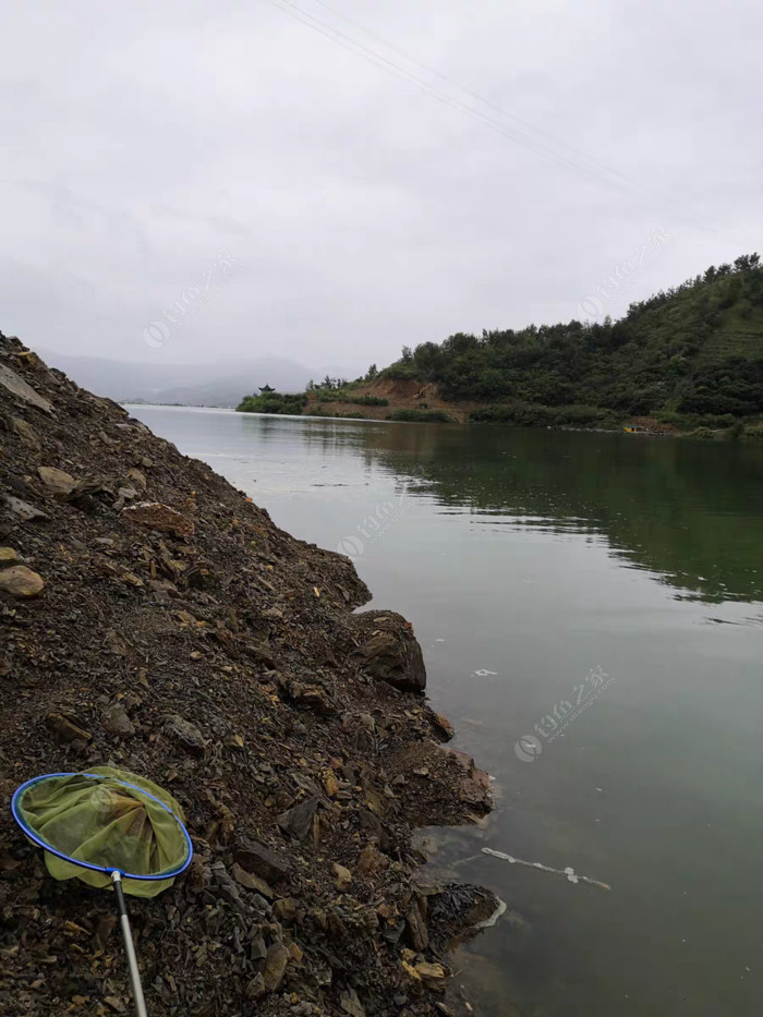 邹家河水库最新动态更新,最新消息汇总