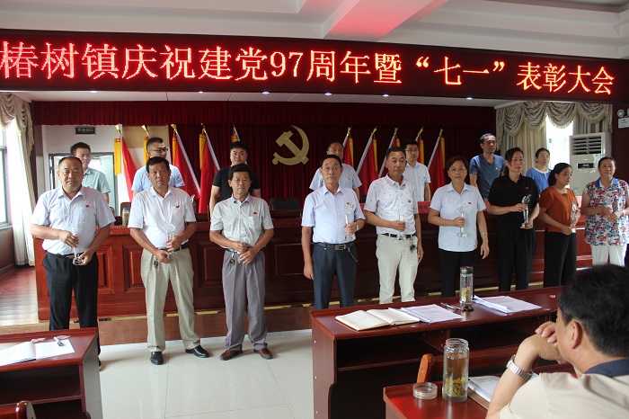 六安市椿树镇蜕变展现新风貌,小镇之光,自信与成就感的源泉