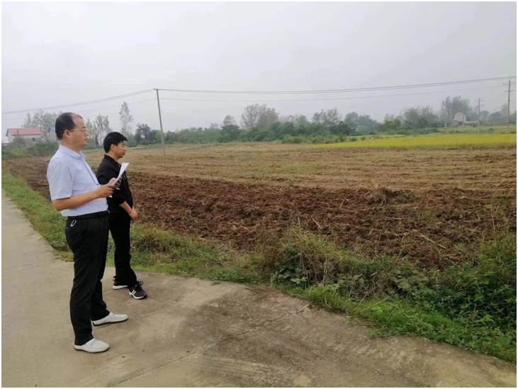 六安市椿树镇蜕变展现新风貌,小镇之光,自信与成就感的源泉