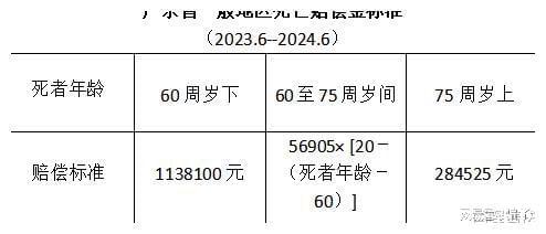 2024年国家赔偿标准公布，细节解读与要点分析