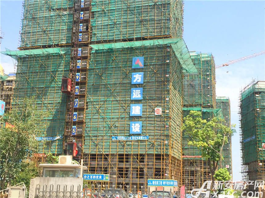 东方汇艺蓝海湾最新动态揭秘