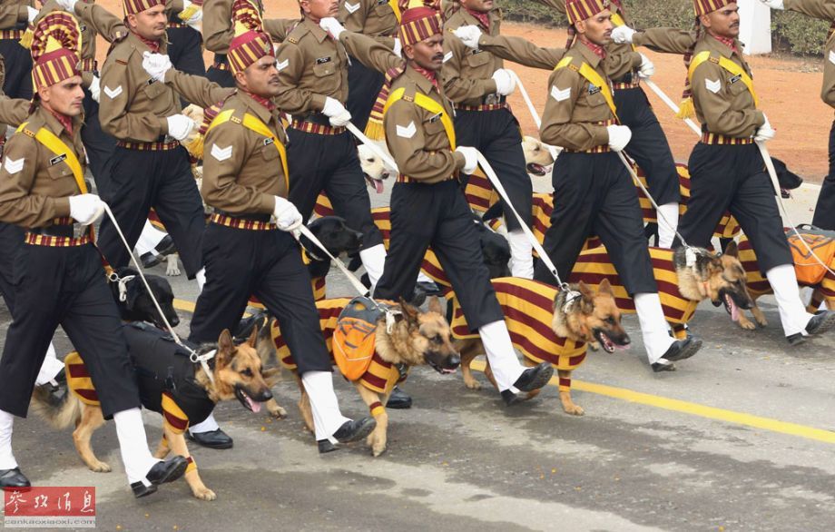 陆军军改最新动态更新,最新陆军改革消息速递