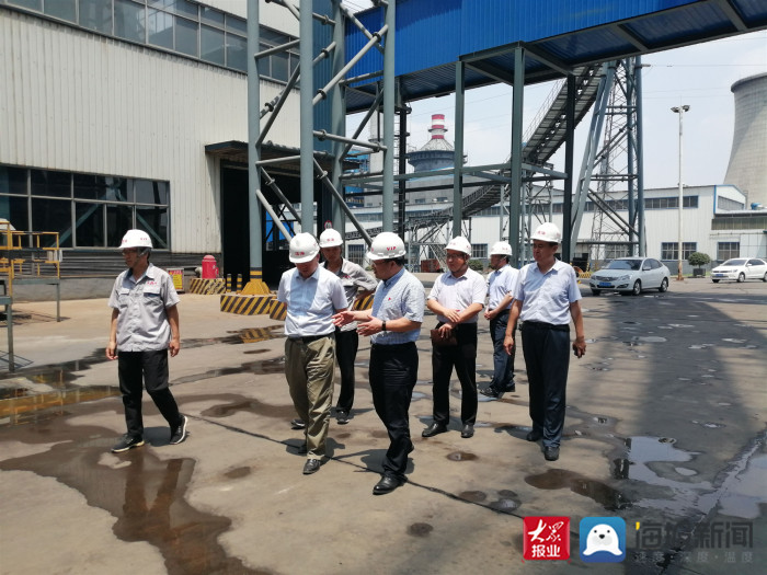 肥城鑫国煤电最新动态揭秘🔥📣