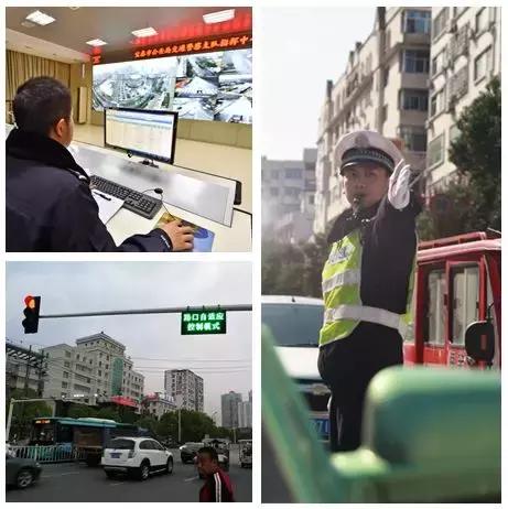 食药体制改革最新动态,深度分析与未来展望