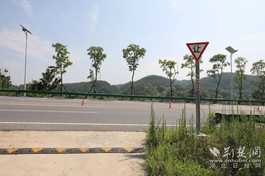 大悟G346国道最新消息,建设进展、规划与影响分析全解析