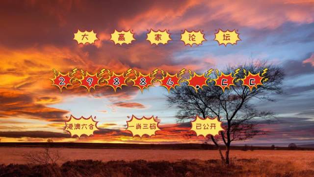 跑狗图www高清跑图资料,案例实证分析_EIQ9.547活力版