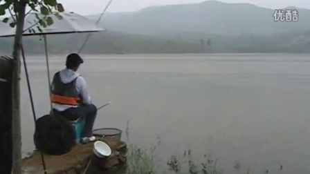 杨柏文最新钓鱼视频,鱼趣深钓,友情共鉴