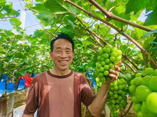 定陶房产最新出售信息揭秘,小巷深处的隐藏房源大揭秘!