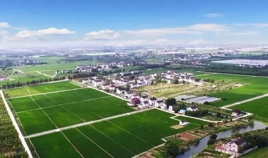 五乡蟠龙村最新规划,五乡蟠龙村最新规划——走向繁荣与和谐的蓝图