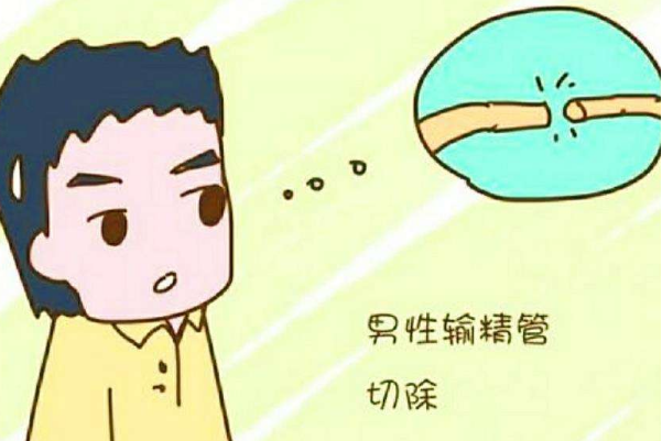 男人最新节育,心灵与自然的完美交融之旅