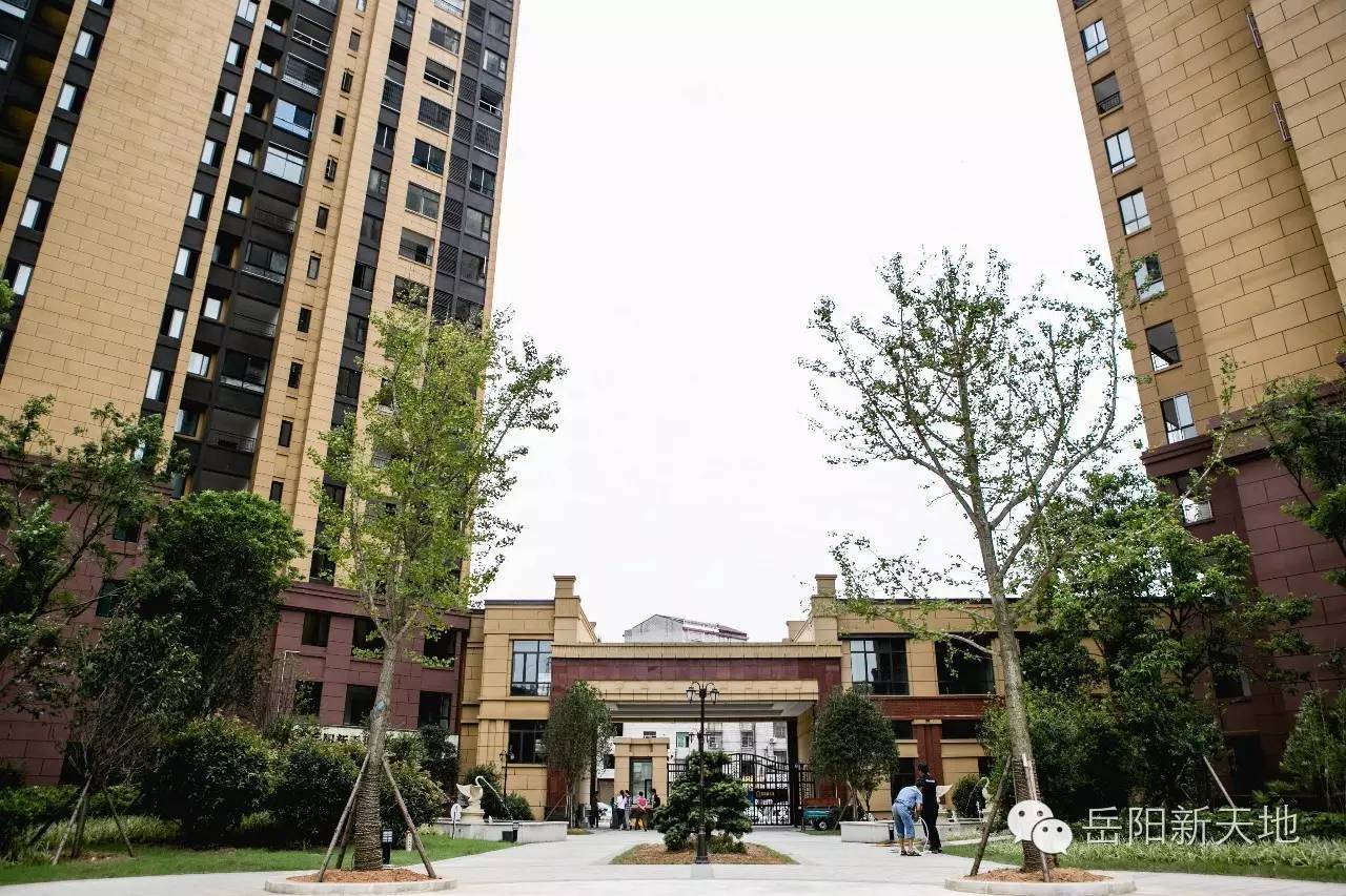 岳阳最新豪宅,现代都市奢华居所亮相