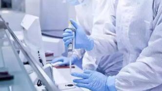 最新确诊方案引领自然美景探索之旅